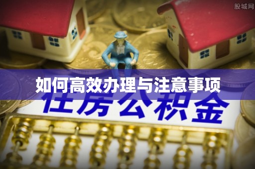 白城如何高效办理与注意事项