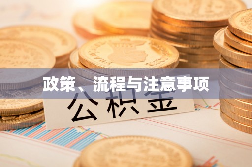 白城政策、流程与注意事项