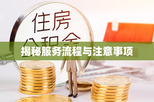 白城揭秘服务流程与注意事项