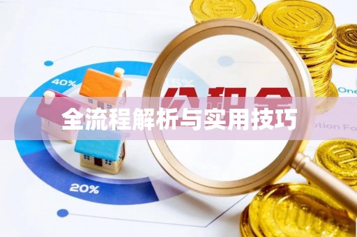 白城全流程解析与实用技巧