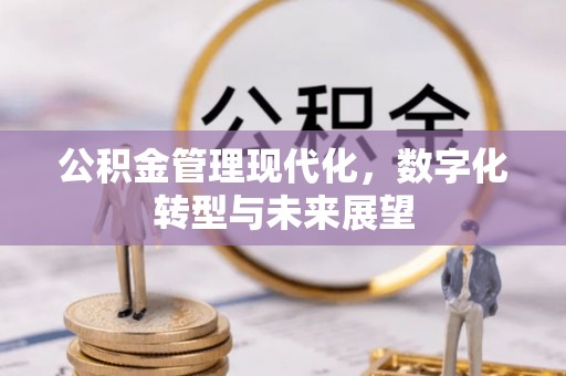 白城公积金管理现代化，数字化转型与未来展望