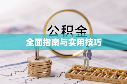 白城全面指南与实用技巧