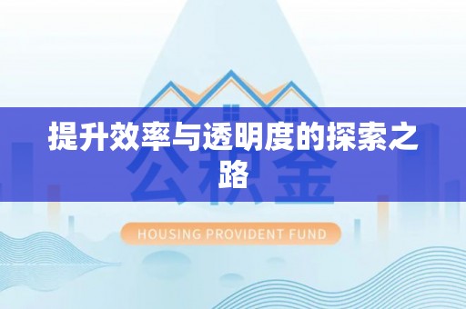 白城提升效率与透明度的探索之路