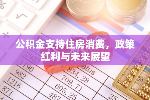 白城公积金支持住房消费，政策红利与未来展望