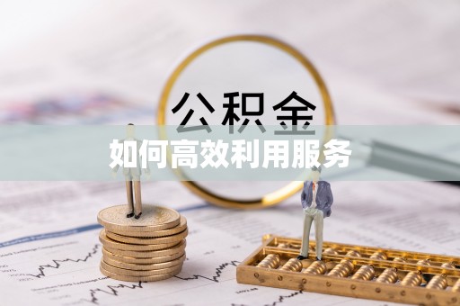 白城如何高效利用服务