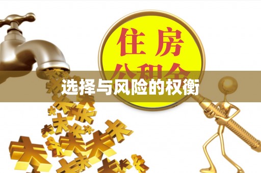 白城选择与风险的权衡