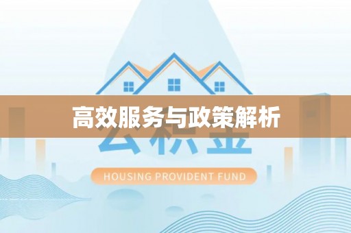 白城高效服务与政策解析