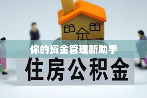 白城你的资金管理新助手