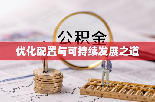 白城优化配置与可持续发展之道