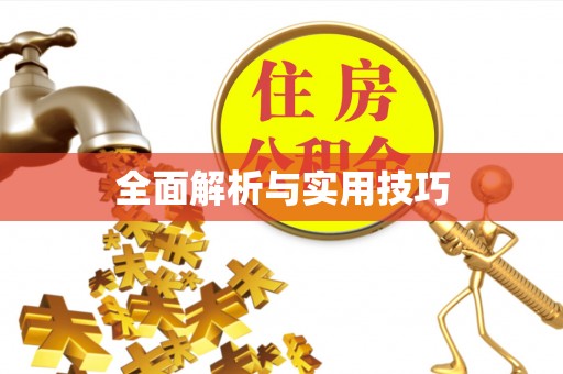 白城全面解析与实用技巧