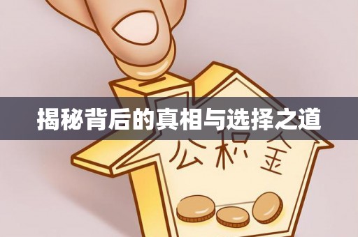 白城揭秘背后的真相与选择之道