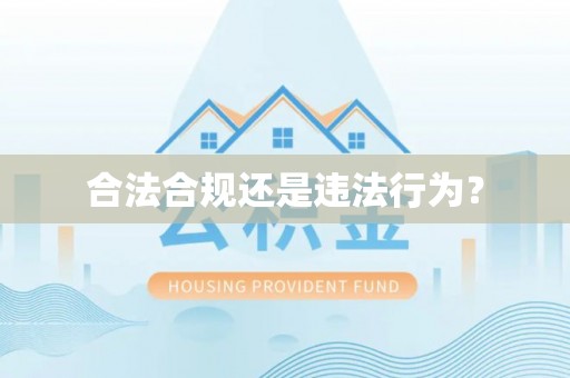 白城合法合规还是违法行为？