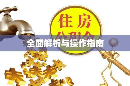 白城全面解析与操作指南