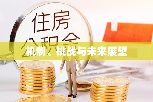 白城机制、挑战与未来展望