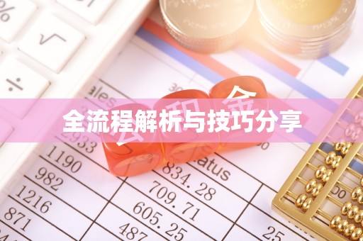 白城全流程解析与技巧分享