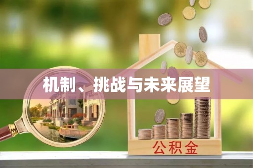 白城机制、挑战与未来展望
